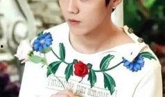 爆料鹿晗杨幂视频大全,甜蜜瞬间大盘点